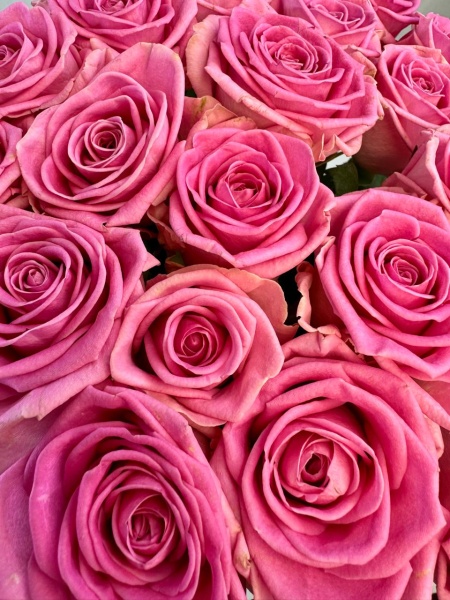 55cdc5db-7bdb-4300-84de-803791b13ccd