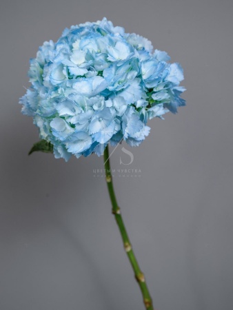 82e6d1bb-45d5-4fa6-8290-95b19216dc01