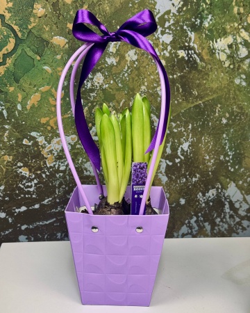 018935b0-0725-470d-aedd-a2a5207089eb