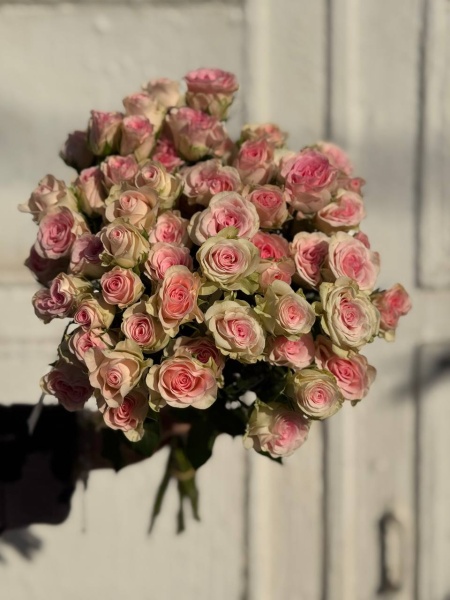 photo_2026-03-23_16-32-34 (2)