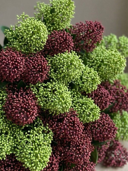 b65d07f0-1603-4239-b905-f00996457543