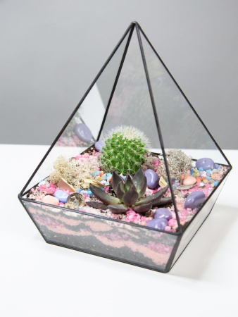 Композиция Флорариум Цветные сны