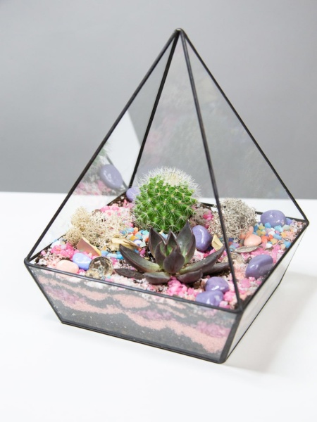 Композиция Флорариум Цветные сны