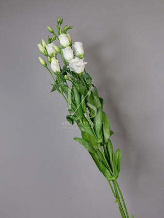 6d648413-c2f4-495f-a82c-be2a7fe2bff0