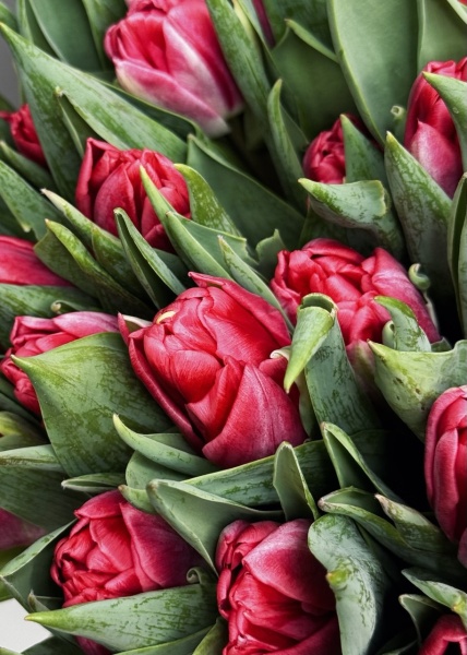 acf75e8f-6775-4834-a3cf-1257592f4cbc