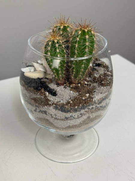 206ff4ab-e0e9-48cc-953d-354ba706fc41