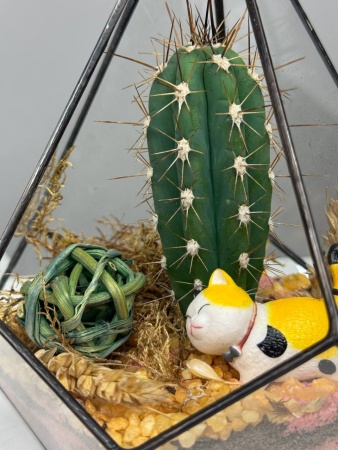 0cbc0e49-55dd-490f-88f9-badb093e39c3