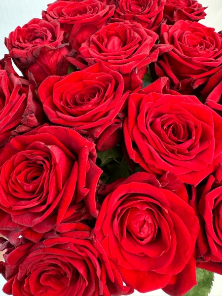 73150ebc-1666-4e16-938f-01f639655286