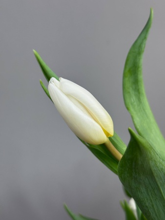 photo_2026-01-14_11-29-53