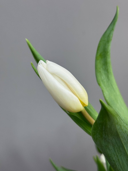 photo_2026-01-14_11-29-53