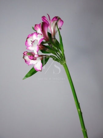 d320567a-e747-431a-a6fd-d2edd8bef007