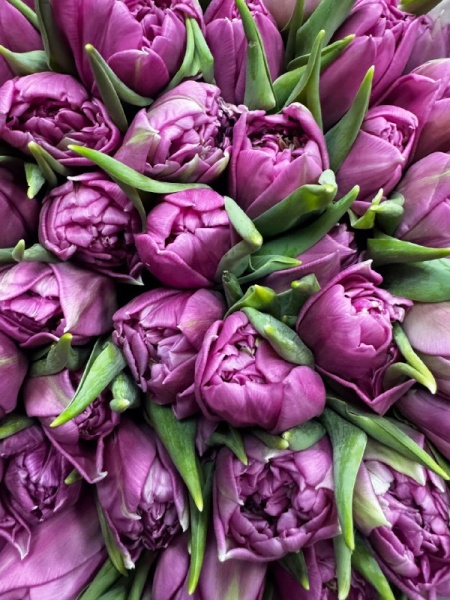 dab87953-4e03-4e4a-a298-edc00d66f34d