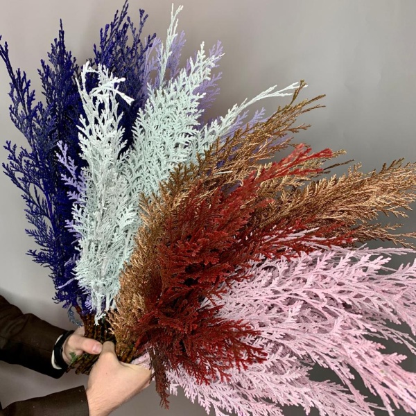 Можевельник крашенный (3)