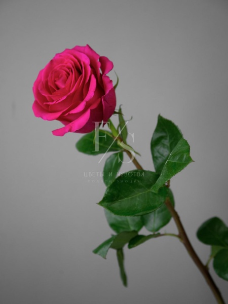 9a146c76-3aad-444e-a434-4b0548600bd4