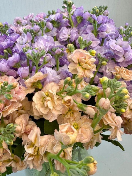 f284343d-61dd-4f7e-9bbe-c58d864dd8f6