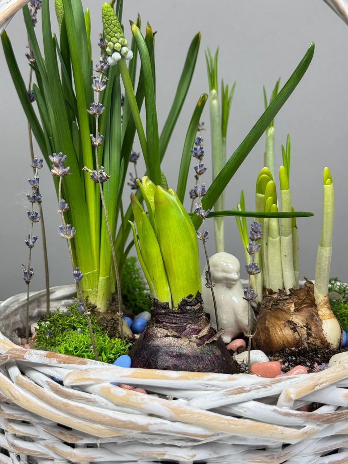 МК Композиция с первоцветами/луковичными