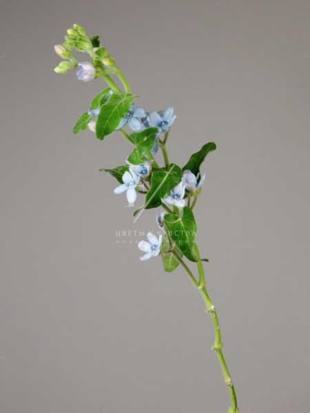 fe39a287-e9ae-40da-9aa2-c23def3afb07