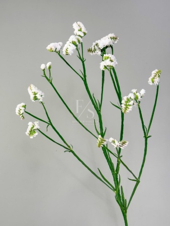 a1f41b23-3786-45ec-b5cb-867639145494