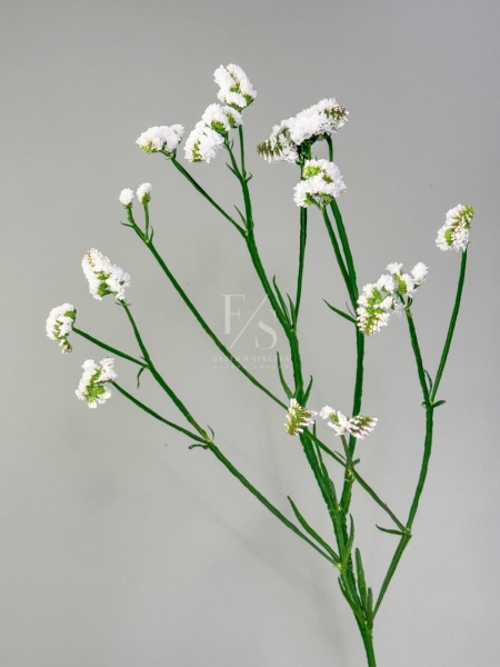 a1f41b23-3786-45ec-b5cb-867639145494