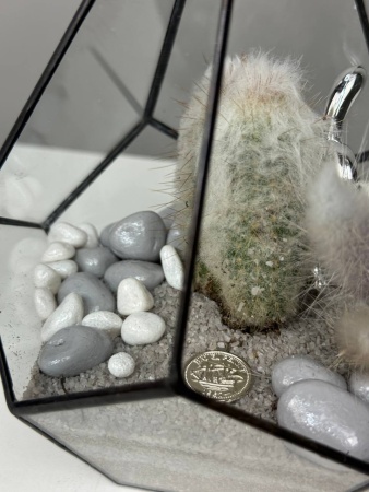 616ea78a-2225-4a4b-80c8-625a4178aa7b