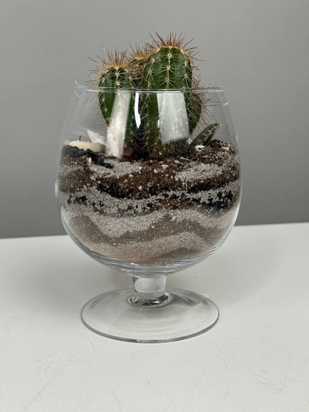 0e6ee7a8-78e6-44c1-bfbb-c4b1cf3d25b7