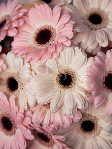 127ea56b-6bd9-49ba-9b11-deebb77d8187