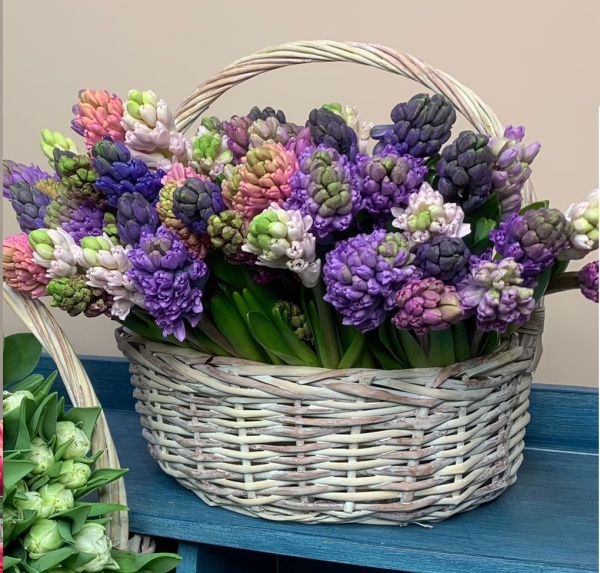 WhatsApp Image 2022-01-04 at 17.34.01