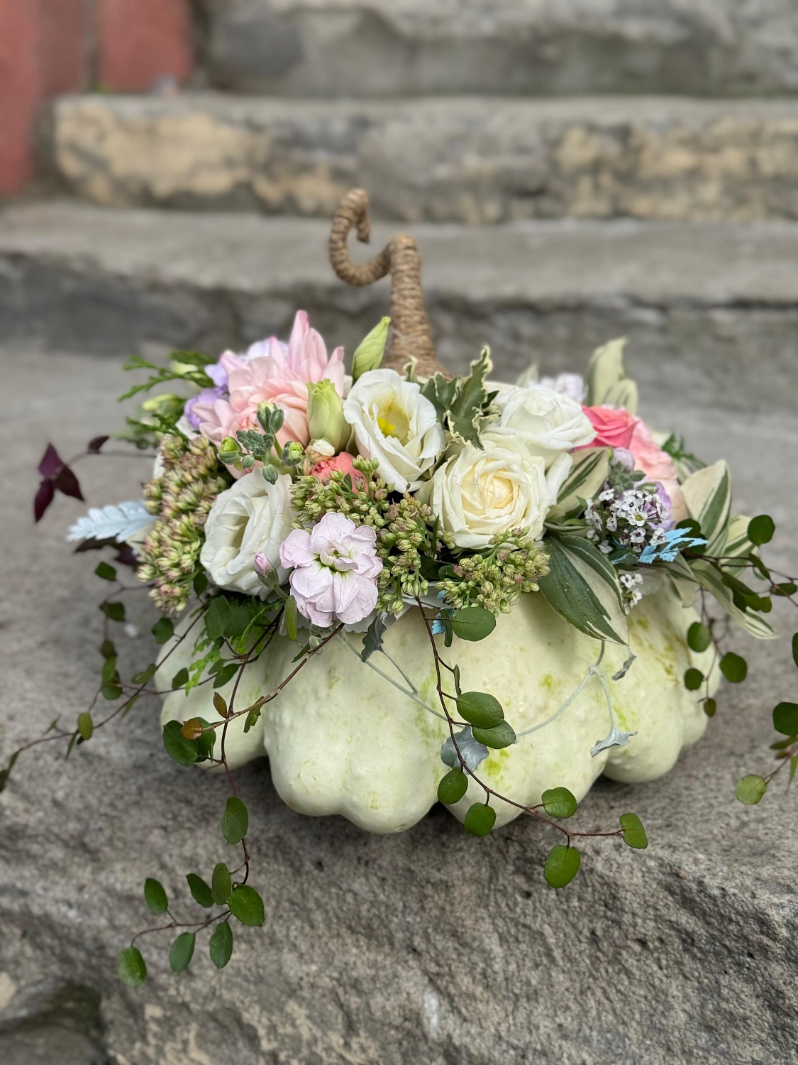 МК осенняя ТЫКВА