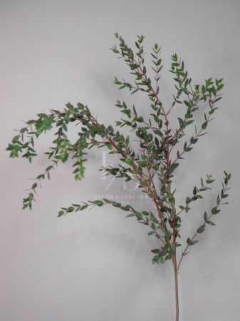 86799d64-540c-4110-8b1f-442f57f49b67