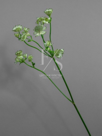 37b412cd-9238-4aca-a84d-7ff3809e5707