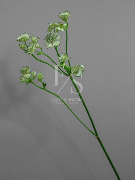 37b412cd-9238-4aca-a84d-7ff3809e5707