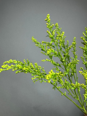 c11c996d-4a70-4594-b263-08fba891ed32