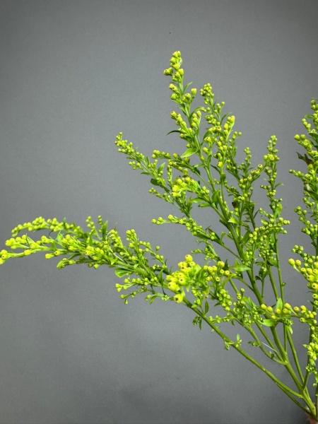 c11c996d-4a70-4594-b263-08fba891ed32