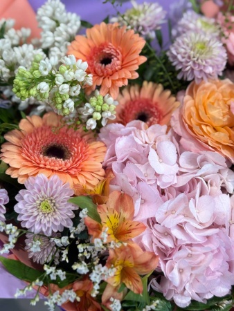 photo_2026-04-15_17-37-21