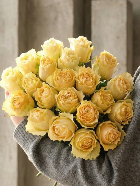 photo_2026-04-15_07-59-27