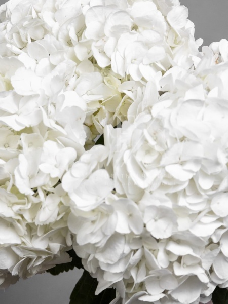 43510fca-803b-4b7a-a046-411c8b05afa8