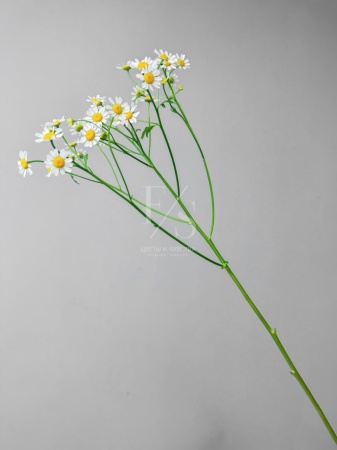 aa2aa854-4df2-4782-87ae-074dfd66ad89