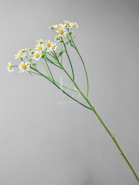 aa2aa854-4df2-4782-87ae-074dfd66ad89