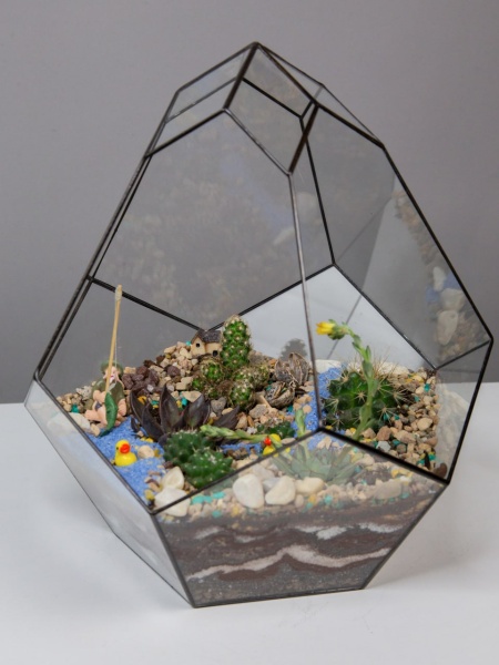 Флорариум Тишина у пруда  (2)