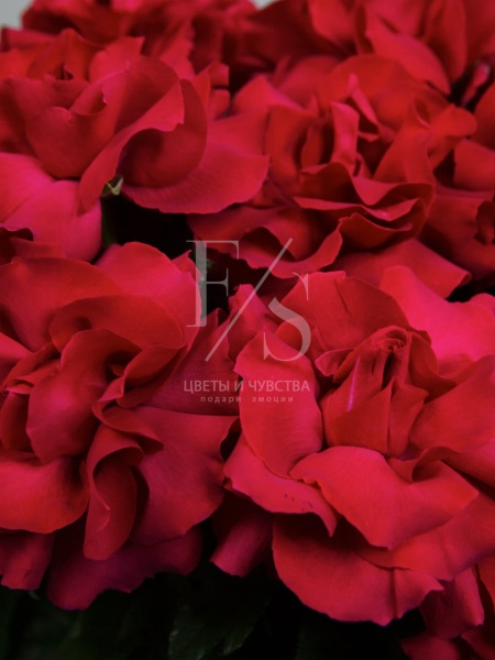 7c4fcf5b-e614-4ef6-8dda-712754d06893