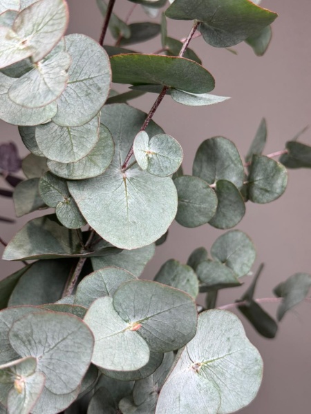 cd5e8a45-a3fc-443e-819d-22781bcf0571