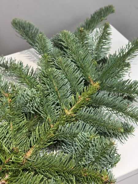 0e16249a-e450-4331-a7d2-ec4e3be976e7