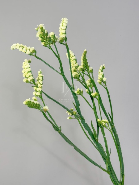 96411119-6025-46a2-ab2f-c8762b38052f