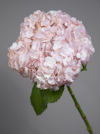 c527b10e-a097-4d43-96bf-62f740f6d040